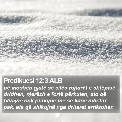 Predikuesi 12:3 ALB Bible Verse Image