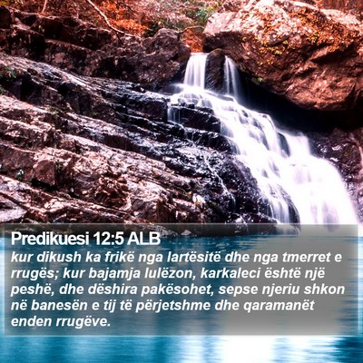 Predikuesi 12:5 ALB Bible Verse Image