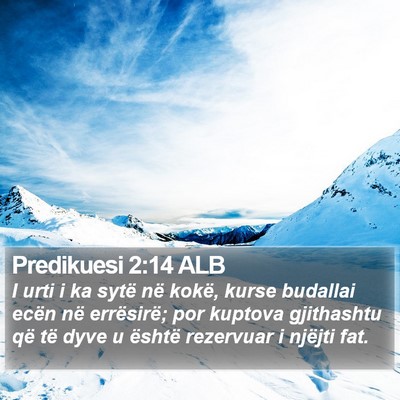 Predikuesi 2:14 ALB Bible Verse Image