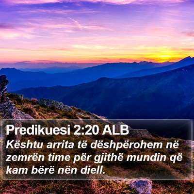 Predikuesi 2:20 ALB Bible Verse Image
