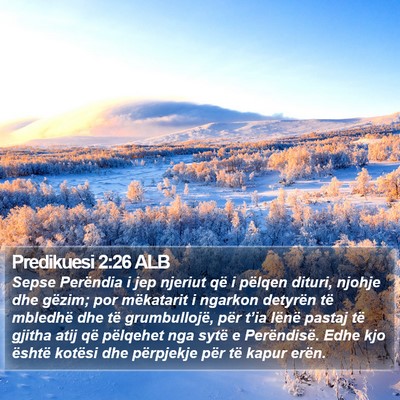 Predikuesi 2:26 ALB Bible Verse Image