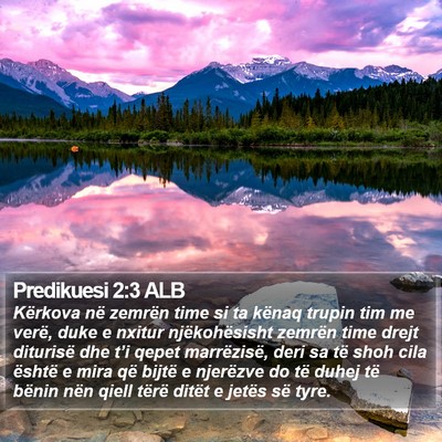 Predikuesi 2:3 ALB Bible Verse Image