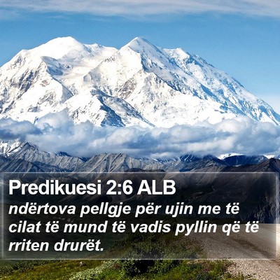 Predikuesi 2:6 ALB Bible Verse Image