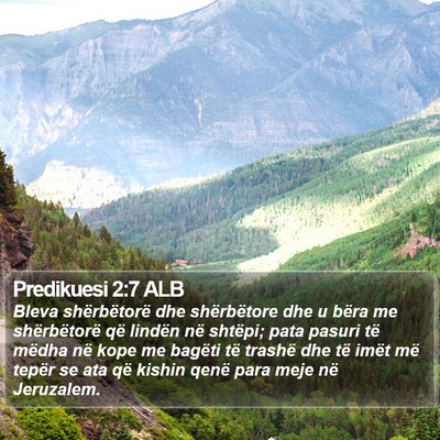 Predikuesi 2:7 ALB Bible Verse Image
