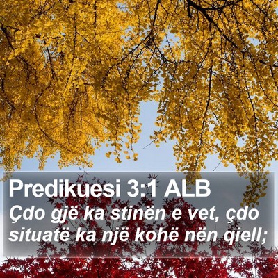Predikuesi 3:1 ALB Bible Verse Image