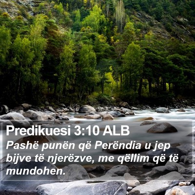 Predikuesi 3:10 ALB Bible Verse Image