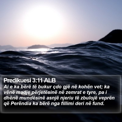 Predikuesi 3:11 ALB Bible Verse Image