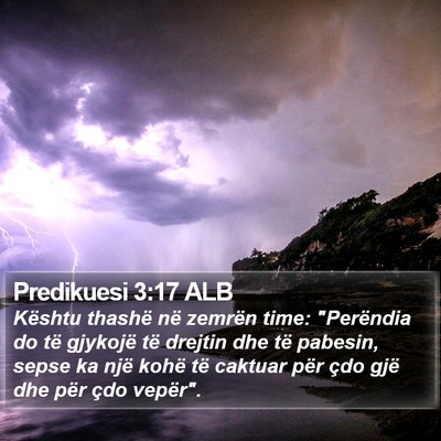 Predikuesi 3:17 ALB Bible Verse Image