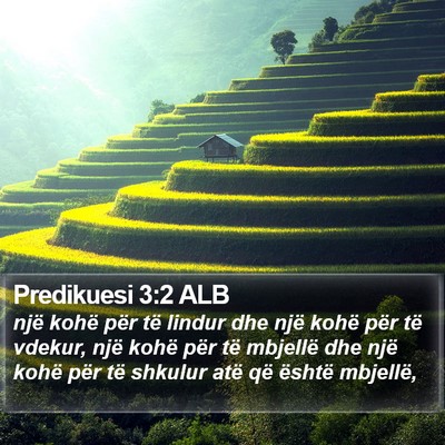 Predikuesi 3:2 ALB Bible Verse Image