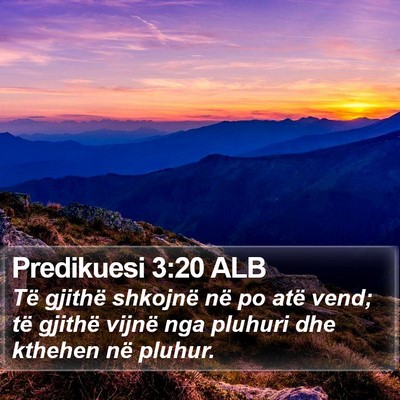 Predikuesi 3:20 ALB Bible Verse Image
