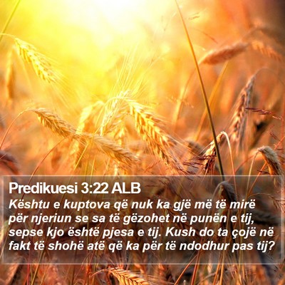 Predikuesi 3:22 ALB Bible Verse Image