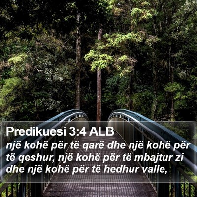 Predikuesi 3:4 ALB Bible Verse Image