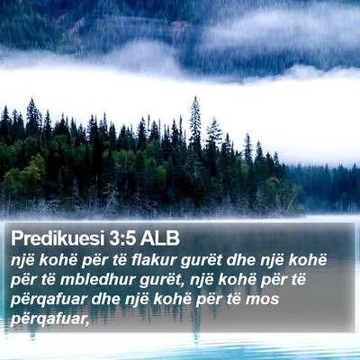 Predikuesi 3:5 ALB Bible Verse Image