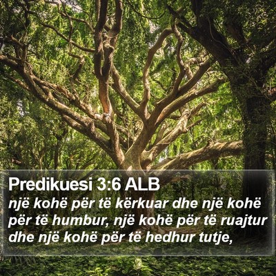 Predikuesi 3:6 ALB Bible Verse Image