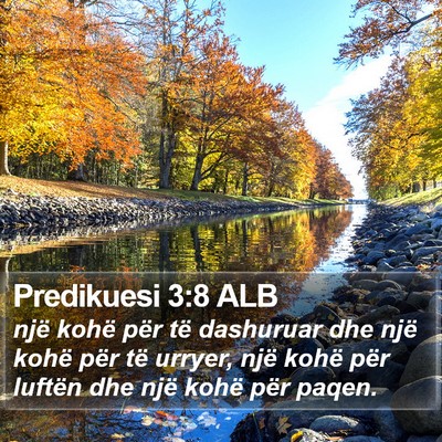 Predikuesi 3:8 ALB Bible Verse Image