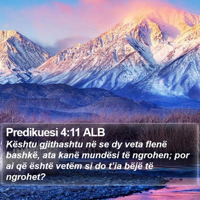 Predikuesi 4:11 ALB Bible Verse Image