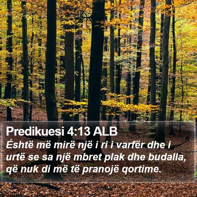 Predikuesi 4:13 ALB Bible Verse Image