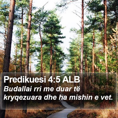 Predikuesi 4:5 ALB Bible Verse Image