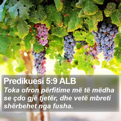 Predikuesi 5:9 ALB Bible Verse Image