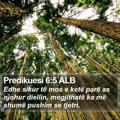 Predikuesi 6:5 ALB Bible Verse Image