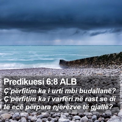 Predikuesi 6:8 ALB Bible Verse Image