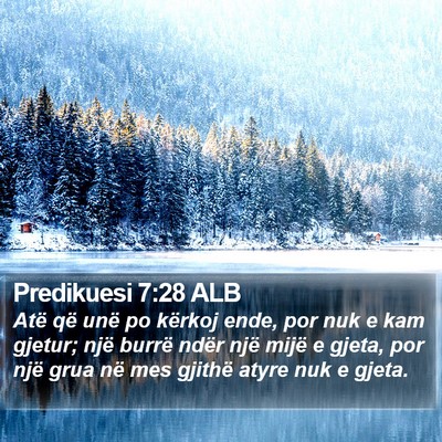 Predikuesi 7:28 ALB Bible Verse Image