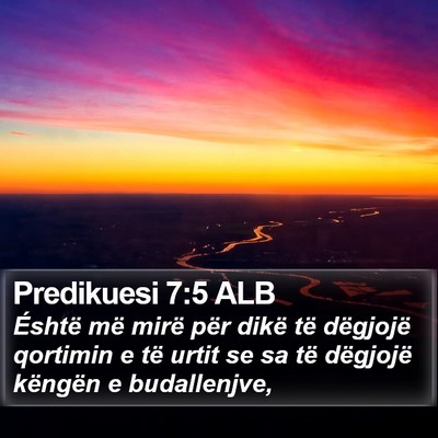 Predikuesi 7:5 ALB Bible Verse Image