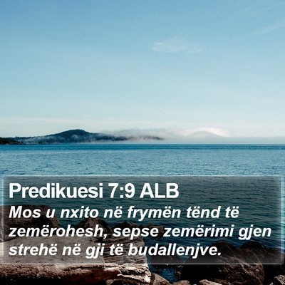 Predikuesi 7:9 ALB Bible Verse Image