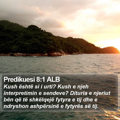 Predikuesi 8:1 ALB Bible Verse Image