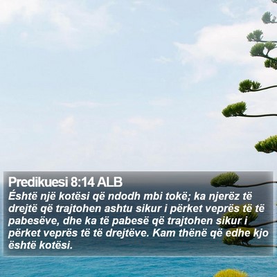 Predikuesi 8:14 ALB Bible Verse Image