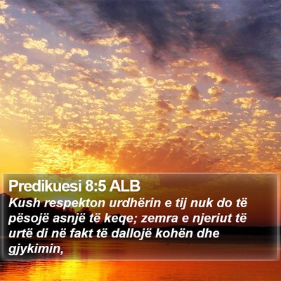 Predikuesi 8:5 ALB Bible Verse Image