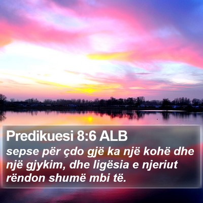 Predikuesi 8:6 ALB Bible Verse Image