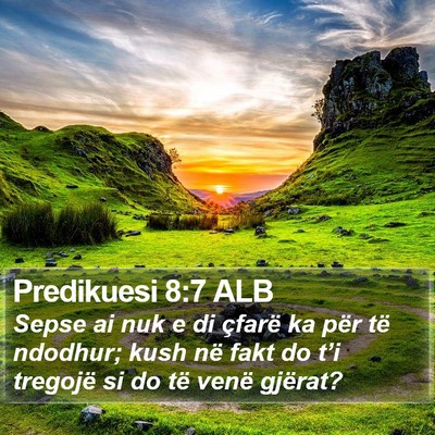 Predikuesi 8:7 ALB Bible Verse Image