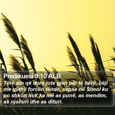 Predikuesi 9:10 ALB Bible Verse Image