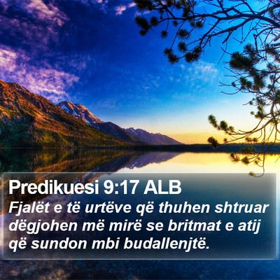 Predikuesi 9:17 ALB Bible Verse Image
