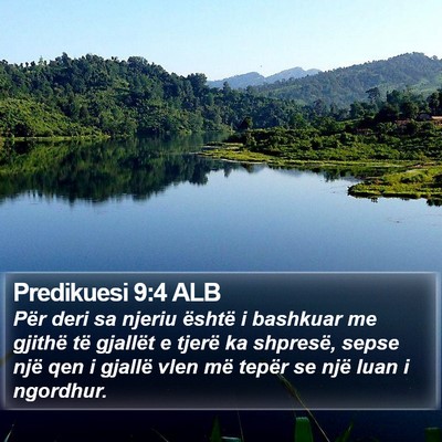 Predikuesi 9:4 ALB Bible Verse Image