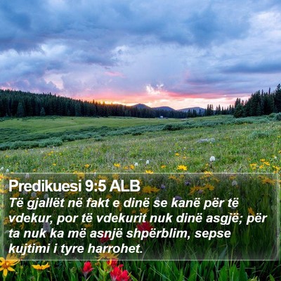 Predikuesi 9:5 ALB Bible Verse Image