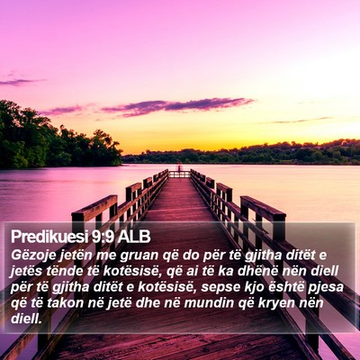 Predikuesi 9:9 ALB Bible Verse Image