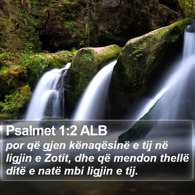 Psalmet 1:2 ALB Bible Verse Image