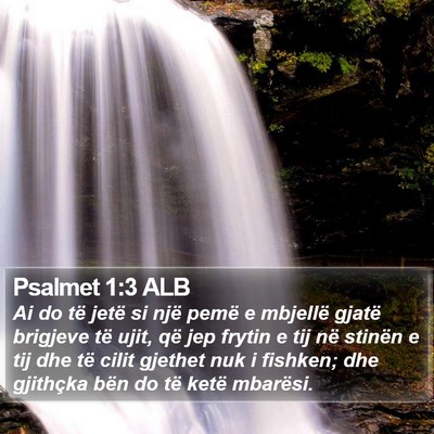 Psalmet 1:3 ALB Bible Verse Image