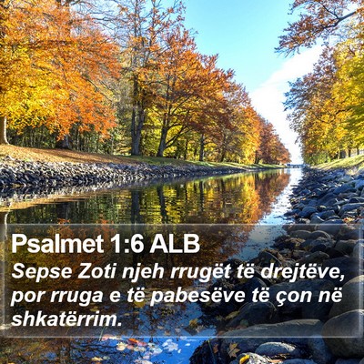 Psalmet 1:6 ALB Bible Verse Image