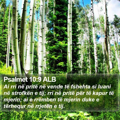 Psalmet 10:9 ALB Bible Verse Image