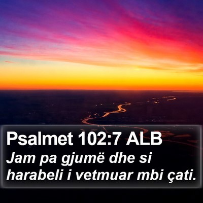 Psalmet 102:7 ALB Bible Verse Image