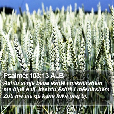 Psalmet 103:13 ALB Bible Verse Image