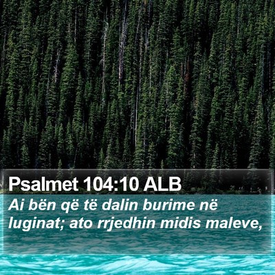 Psalmet 104:10 ALB Bible Verse Image
