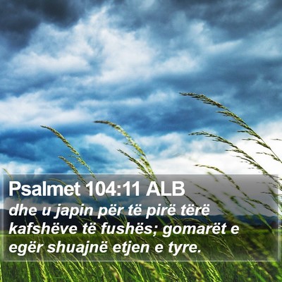 Psalmet 104:11 ALB Bible Verse Image