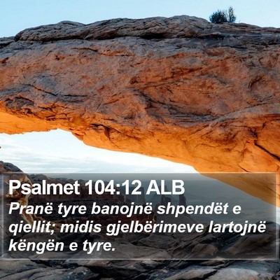 Psalmet 104:12 ALB Bible Verse Image