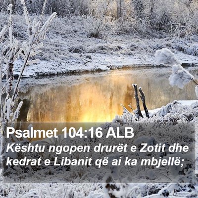 Psalmet 104:16 ALB Bible Verse Image