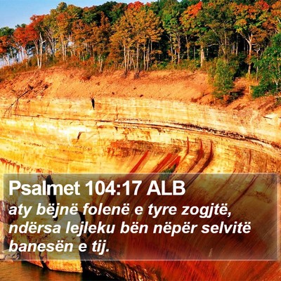 Psalmet 104:17 ALB Bible Verse Image