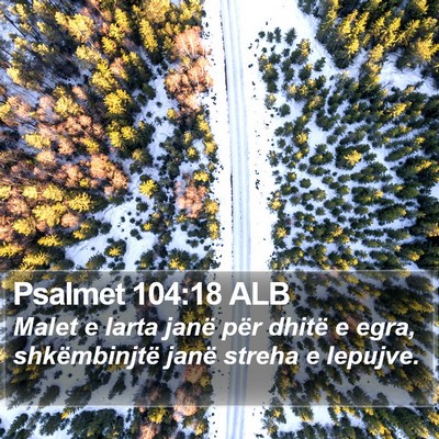 Psalmet 104:18 ALB Bible Verse Image